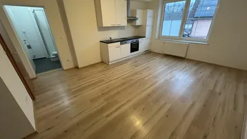 Heller Wohnbereich mit integrierter Küchenzeile, Holzfußboden und Zugang zum Badezimmer.