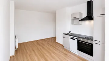 Heller offener Wohnbereich mit integrierter Küchenzeile und modernem Laminatboden, ideal für Singles.