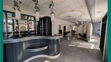 Empfangsbereich eines modernen Friseursalons mit geschwungener Theke, Hängepflanzen und Deckenbeleuchtung.