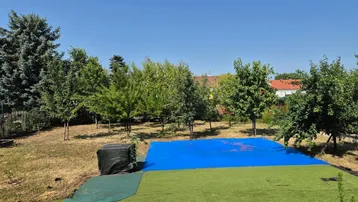 Weitläufiger Garten mit jungen Bäumen und einer blauen Abdeckung unter klarem Himmel.