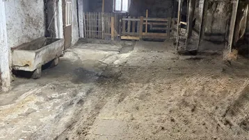 Alter, rustikaler Kellerraum mit sichtbaren Holzbalken und einfacher Beleuchtung, der Renovierung benötigt.