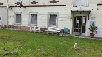 Gebäudefassade mit kleinem Rasenbereich, Sitzbänken und einem Kätzchen davor.