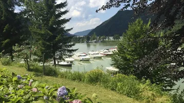 Idyllischer Blick auf den See mit Booten, umgeben von grünen Bergen und blühenden Hortensien im Vordergrund.