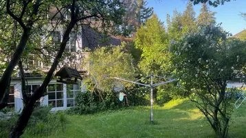 Grüner Garten mit altem Baumbestand, Rasenfläche und Blick auf das Haus.