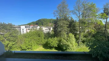 Weiter Blick ins Grüne mit Bäumen und Gebäuden im Hintergrund unter blauem Himmel.
