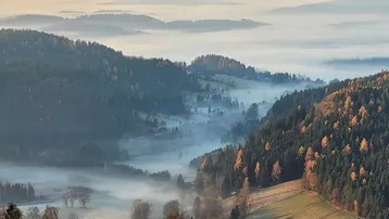 Malerischer Blick über nebelverhangene Täler und bewaldete Hügel in der Berglandschaft.