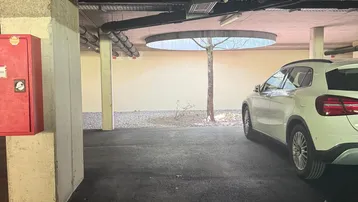 Tiefgarage mit Stellplatz und natürlicher Belichtung durch eine Deckenöffnung mit Baum.