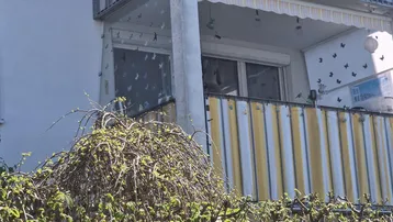 Blick auf einen Balkon mit gelb-weiß gestreifter Brüstung, Markise und Schmetterlingsdekoration.