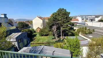 Panoramablick über die Dächer der Stadt mit viel Grün und klarem blauen Himmel.