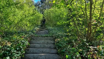 Steintreppe führt durch üppiges Grün und Bäume, umgeben von natürlicher Vegetation und hellem Licht.