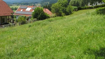 Weitläufige grüne Wiese mit Blick auf umliegende Häuser und bewaldete Berge im Hintergrund.