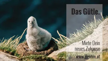 Expose Moderne und hochwertige 2-Zimmer-Wohnung mit Loggia und TG-Platz