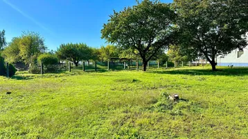 Große grüne Wiese mit Bäumen unter blauem Himmel, ideal für Gartenliebhaber.