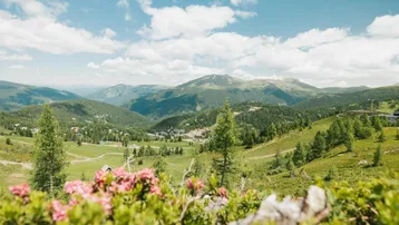 Panoramablick auf die grüne Berglandschaft mit blühenden Blumen im Vordergrund unter blauem Himmel.