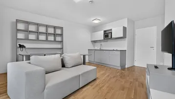 Heller Wohn- und Essbereich mit integrierter Küchenzeile, Parkettboden und modernem Sofa.