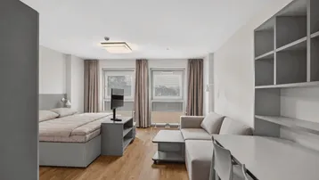 Helles Studio-Apartment mit Holzboden, Schlafbereich, Sofa und Arbeitsplatz.