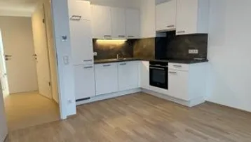 Moderne Einbauküche mit weißen Schränken, dunkler Arbeitsplatte und hellem Holzfußboden.