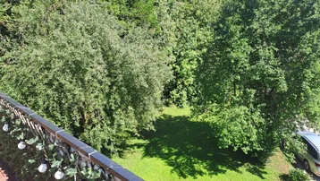 Blick von einem Balkon auf eine grüne Gartenfläche mit Bäumen und Rasen.