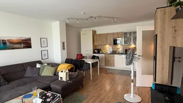 Offener Wohn- und Essbereich mit Küche, Sofa und Esstisch auf Holzfußboden.