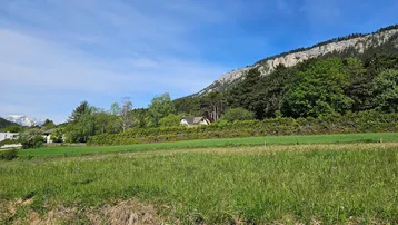 Weitläufige grüne Landschaft mit Feldern, Bäumen und einem Haus am Fuße eines Berges unter blauem Himmel.