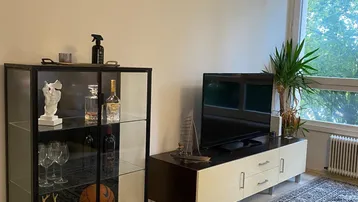 Helles Wohnzimmer mit modernem TV-Möbel, Vitrine und großem Fenster mit Grünblick.
