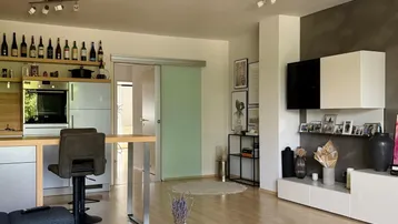 Offener Wohnbereich mit gemütlichem Sofa, modernem Couchtisch und integrierter Küchenzeile.