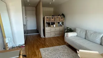 Helles Wohnzimmer mit Holzboden, Sofa und einem Teppich, der den Raum gemütlich macht.