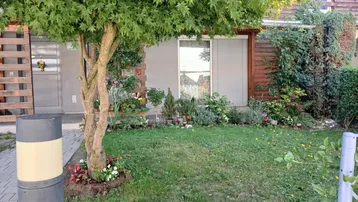 Gepflegter Vorgarten mit Rasenfläche, einem Baum und bunten Blumenbeeten vor dem Haus.