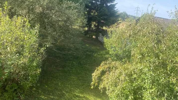 Panoramablick auf eine bewaldete Anhöhe mit hohen Bäumen und üppigem Grün unter blauem Himmel.