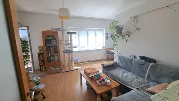 Helles Wohnzimmer mit Parkettboden, großem Fenster und gemütlichem Sofa, ideal für entspannte Stunden.