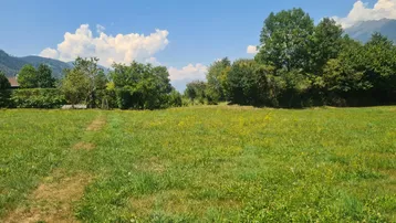 Weitläufige grüne Wiese mit Bäumen und Bergen im Hintergrund unter blauem Himmel.