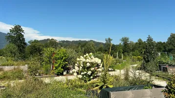Gemeinschaftsgarten mit Hochbeeten, vielfältiger Bepflanzung und Bergblick im Hintergrund.