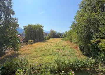 Weitläufige grüne Wiese mit Bäumen und Bergen im Hintergrund unter einem klaren blauen Himmel.