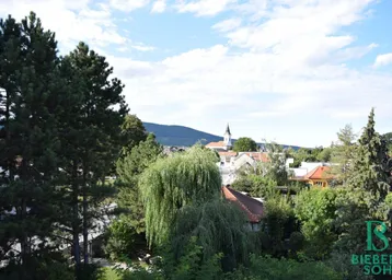 Panoramablick über eine grüne Landschaft mit einem Dorf, einer Kirche und Bergen im Hintergrund.