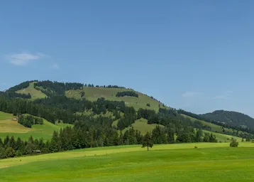 Weitläufige grüne Wiesen und bewaldete Berge unter klarem blauem Himmel, ideal für Naturliebhaber.