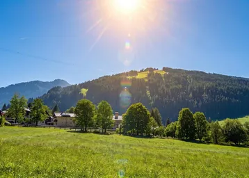 Sonnige Landschaft mit grünen Wiesen, Bäumen und Häusern vor einer beeindruckenden Bergkulisse.