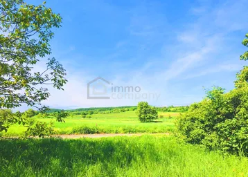 Weite grüne Landschaft mit Bäumen unter blauem Himmel, ideal für Naturliebhaber und Ruhe suchende.
