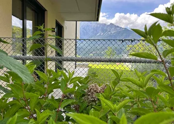 Nahaufnahme von Pflanzen mit einem weiten Blick auf die umliegende Landschaft und Berge.