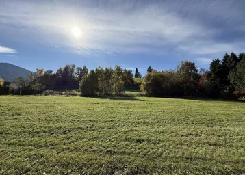 Weitläufige grüne Wiese unter einem strahlend blauen Himmel mit Sonnenschein und Bäumen am Horizont.