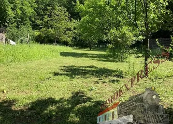 Weitläufige Grünfläche mit Bäumen und natürlicher Vegetation, ideal für einen Garten.