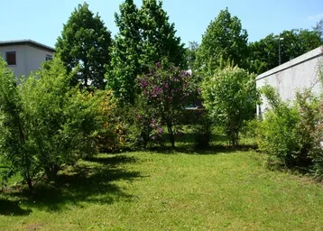 Grüner Gartenbereich mit verschiedenen Sträuchern und Bäumen unter blauem Himmel.
