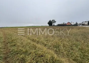 Weitläufiges Grundstück mit trockenem Gras und Blick auf die umliegende Landschaft sowie entfernte Häuser.