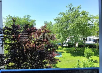 Grüner Ausblick auf Bäume und eine Rasenfläche von einem Balkon oder Fenster.