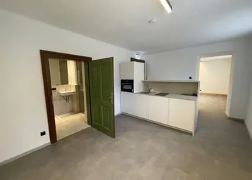Heller Wohnbereich mit integrierter Küchenzeile und Blick auf das Badezimmer mit Waschbecken.
