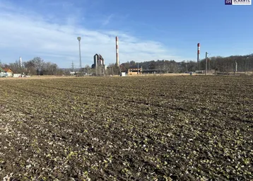 Ackerland mit industrieller Kulisse und klarem Himmel. Das weite Feld zeigt junge Pflanzen und trockene Blätter.