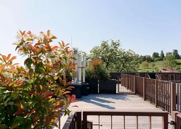Große Dachterrasse mit Holzbelag, Pflanzen und weitem Blick ins Grüne an einem sonnigen Tag.