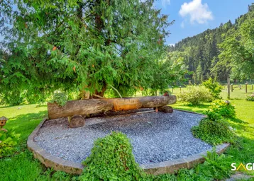Gepflegter Gartenbereich mit großem Baum, rustikalem Holztrog und Blick auf die grüne Landschaft.