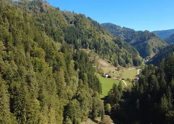 Luftaufnahme eines bewaldeten Tals mit grünen Wiesen, einem Bach und vereinzelten Häusern unter blauem Himmel.