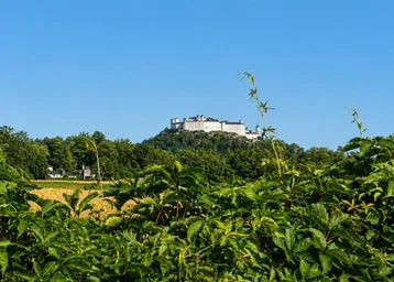 Panoramablick auf eine majestätische Burg auf einem bewaldeten Hügel, umgeben von grünen Feldern und klarem Himmel.
