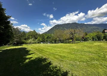 Weitläufige grüne Wiese mit Bäumen und majestätischen Bergen im Hintergrund unter blauem Himmel.